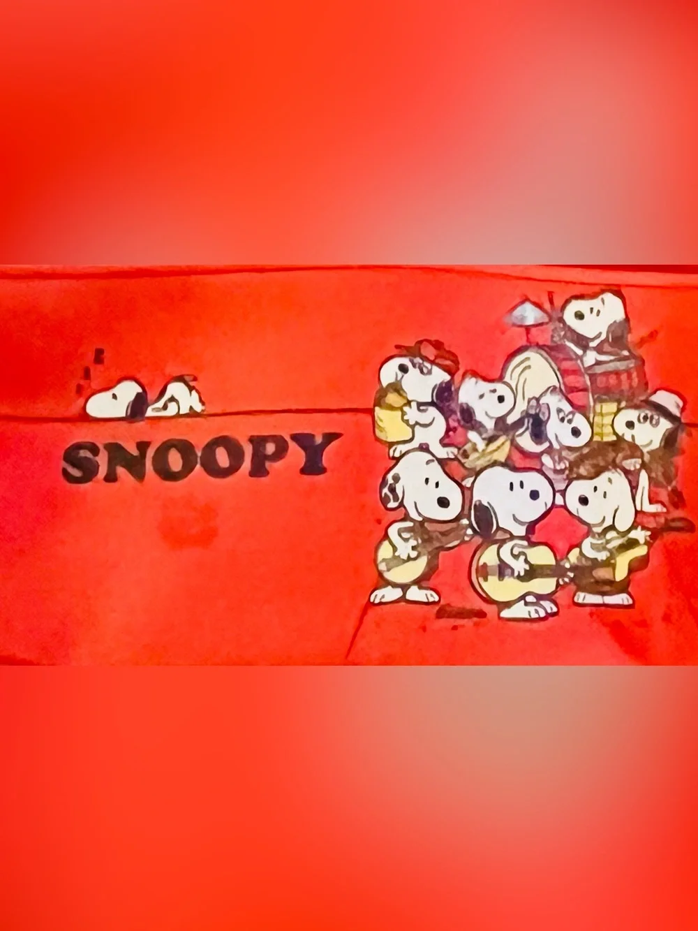 Snoopy Red Case Keyring
